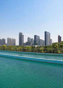 浼樺娍