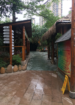 浼樺娍